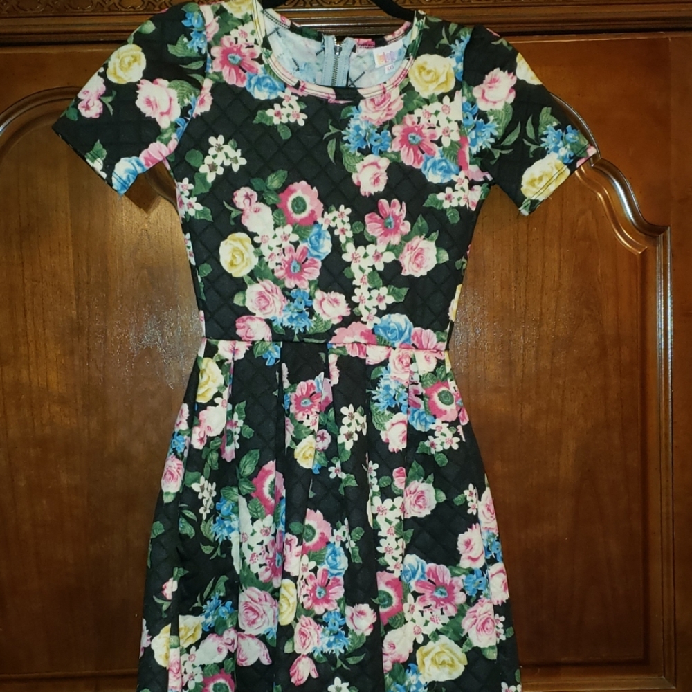 Women's dress (lularoe Amelia)